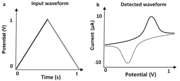 a) Forma de onda de entrada de voltametría cíclica voltaje vs tiempo b) ejemplo de una gráfica de salida corriente vs voltaje <a href="https://arxiv.org/ftp/arxiv/papers/1509/1509.08591.pdf" target="_blank" rel="noopener noreferrer nofollow">[3]</a>.